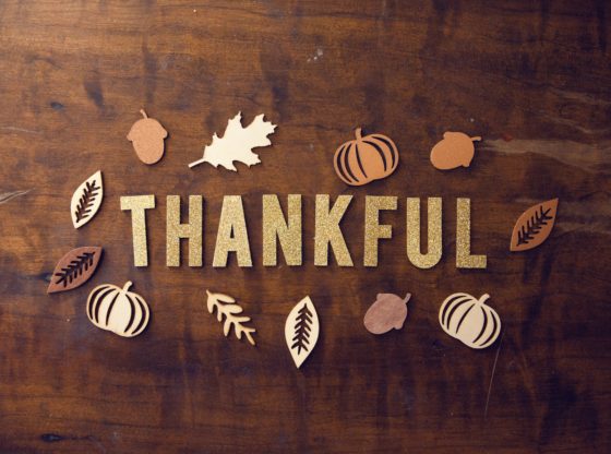 Experts Weigh In: 101 Things Entrepreneurs Are Thankful For