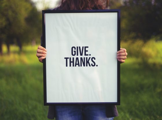 MyCorp Employees Express Gratitude This Thanksgiving!