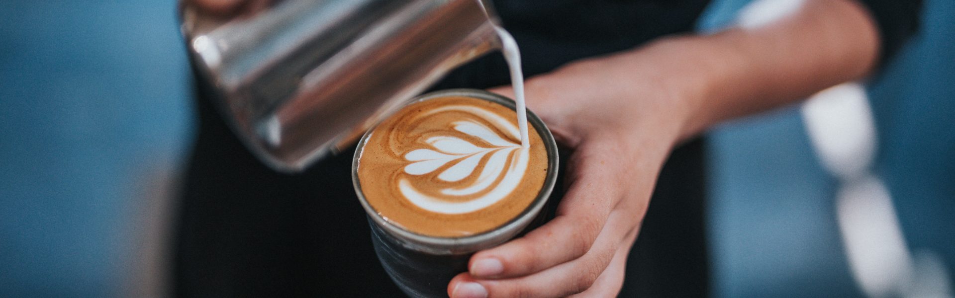just_coffee_cooperative