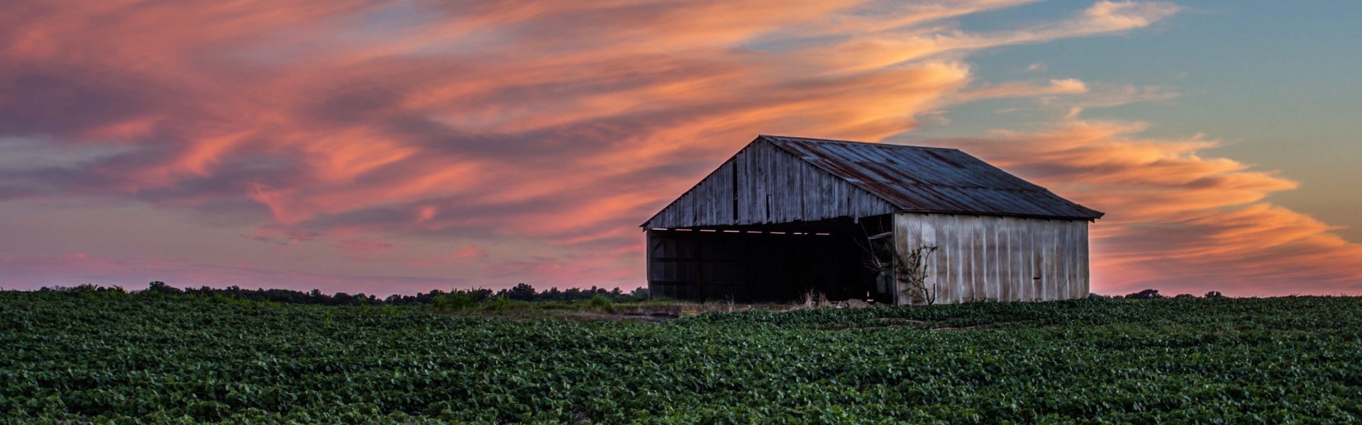 50_states_indiana