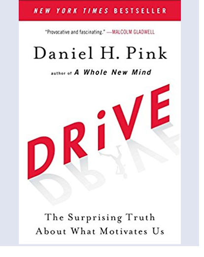 Drive: The Surprising Truth About What Really Motivates Us by Daniel H. Pink