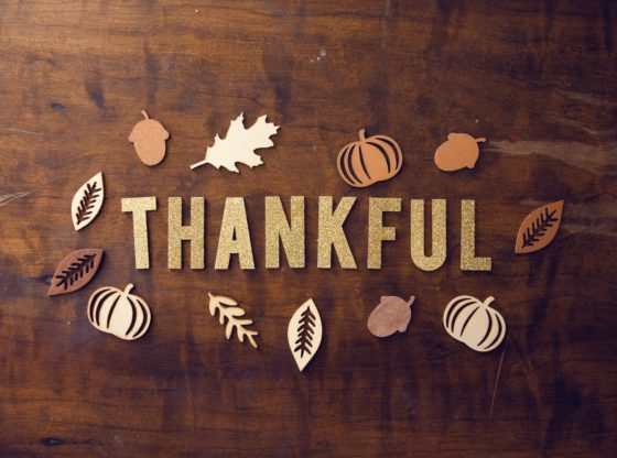 What We're Grateful For This Thanksgiving